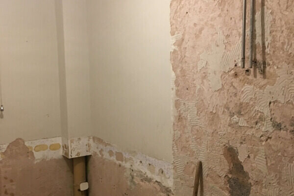 rffaireyandson-new.seesite.biz_--_344054395